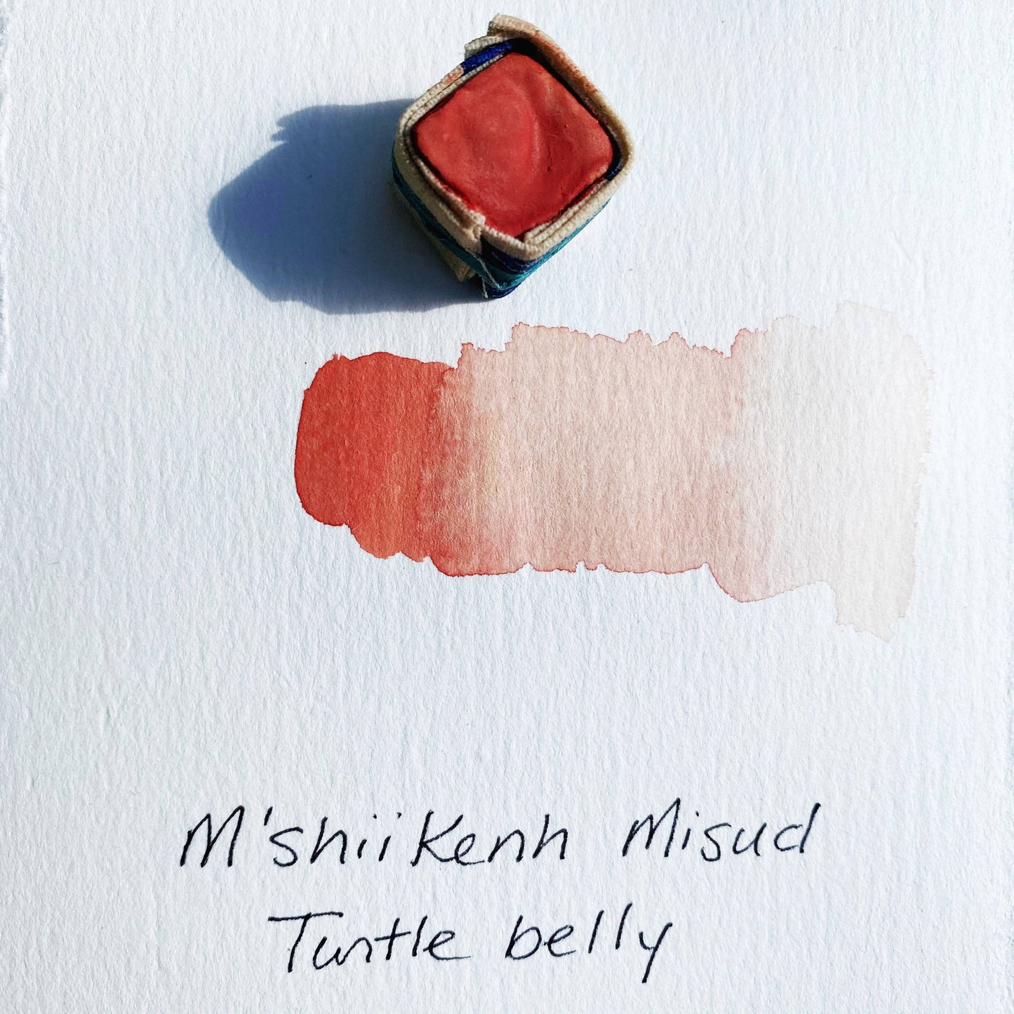 Beam Paints - Turtle Belly