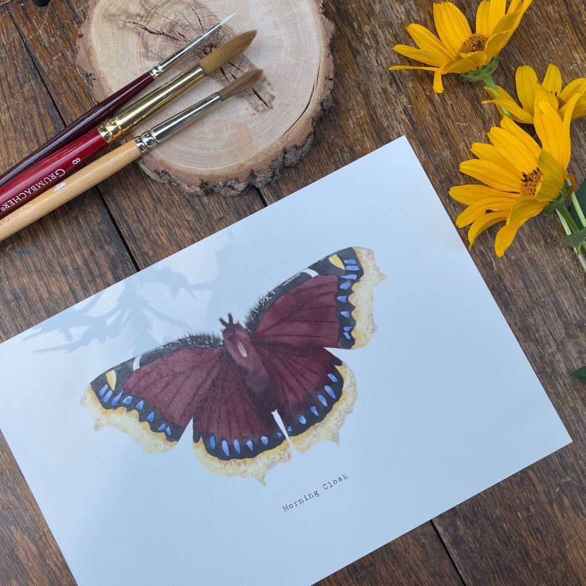 Beam Paints - Paint By Numbers! ~ Mourning Cloak