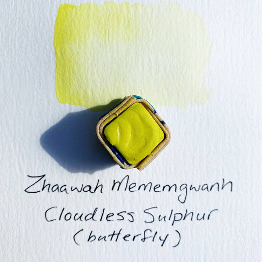 Beam Paints - Cloudless Sulphur