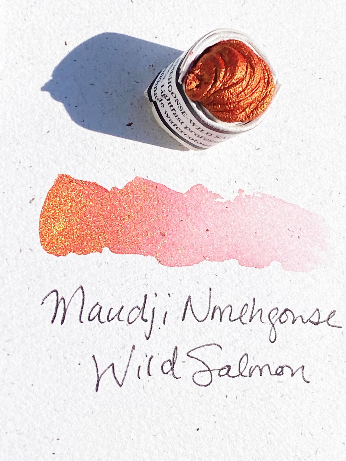 Beam Paints - Wild Salmon